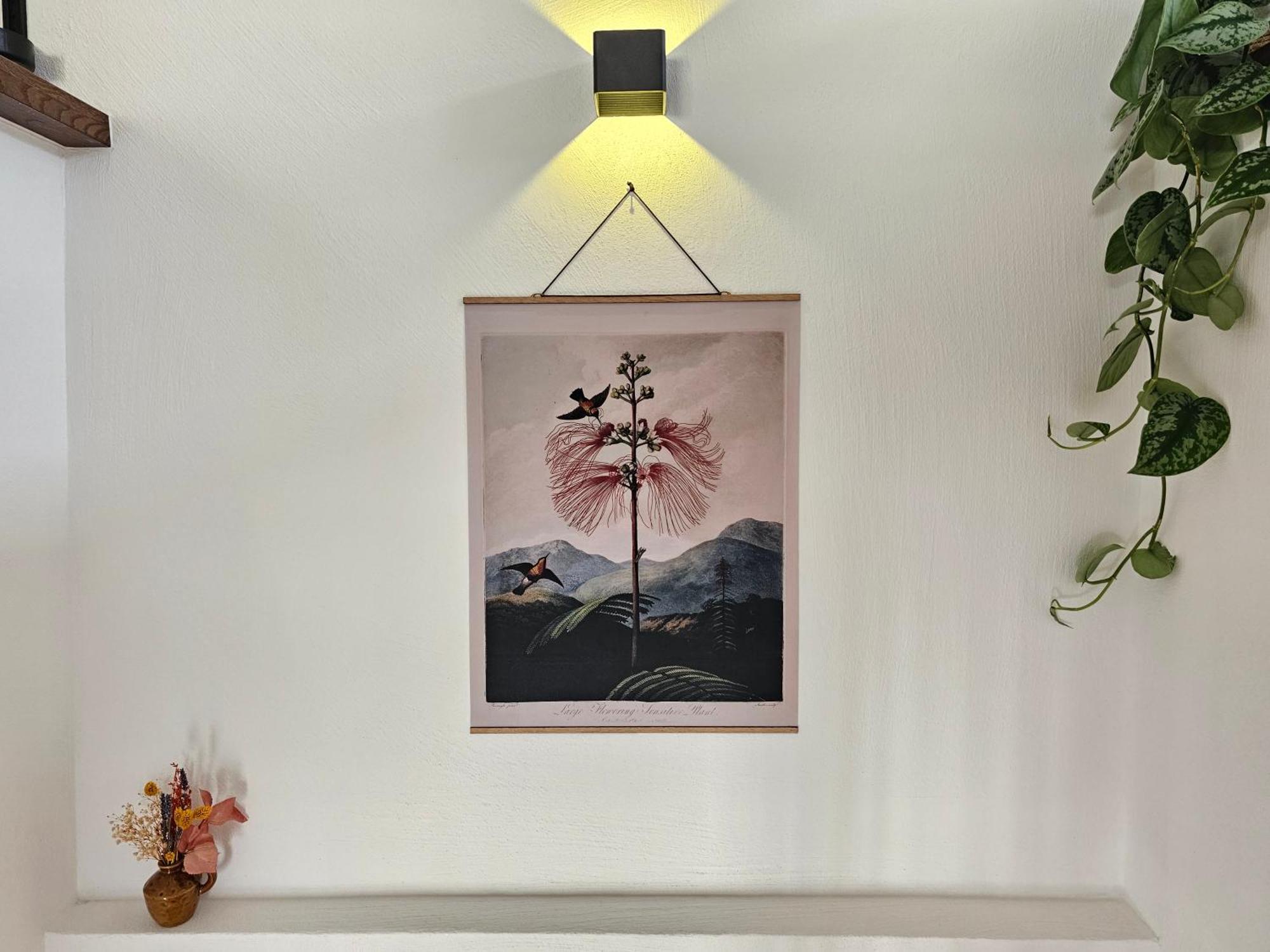 Kolibri - Design Maisonette - Nintendo Switch, Streaming, Bikestore, E-Wallbox Marburg Екстериор снимка